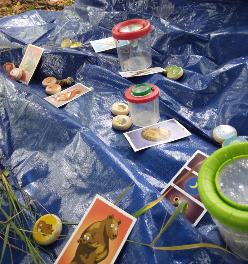 animation enfants Pau BÉARN Pyrénées Atlantique