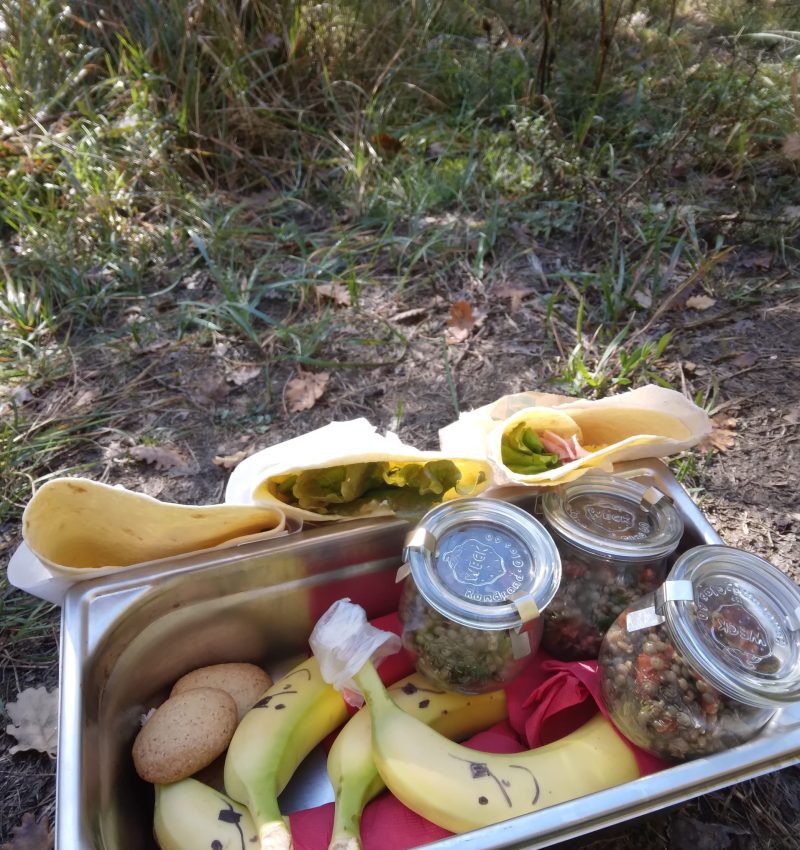 Mercredi 17 septembre à Pau en forêt