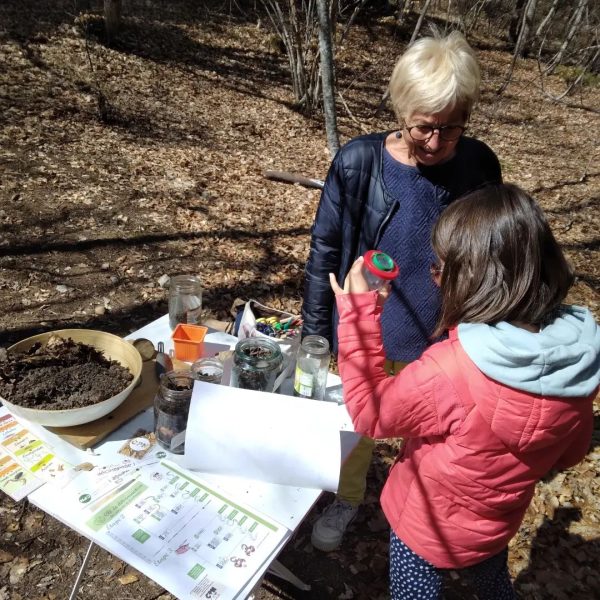 341019813_913647059932254_4047029068533682420_n