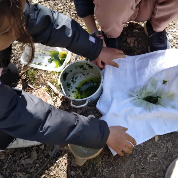 341828299_597046639144072_1995131419020399643_n