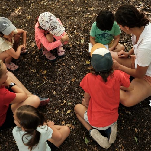 animation nature pau bearn