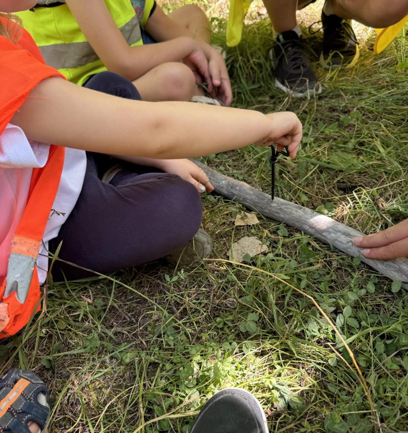 Pau BÉARN Pyrénées Atlantique